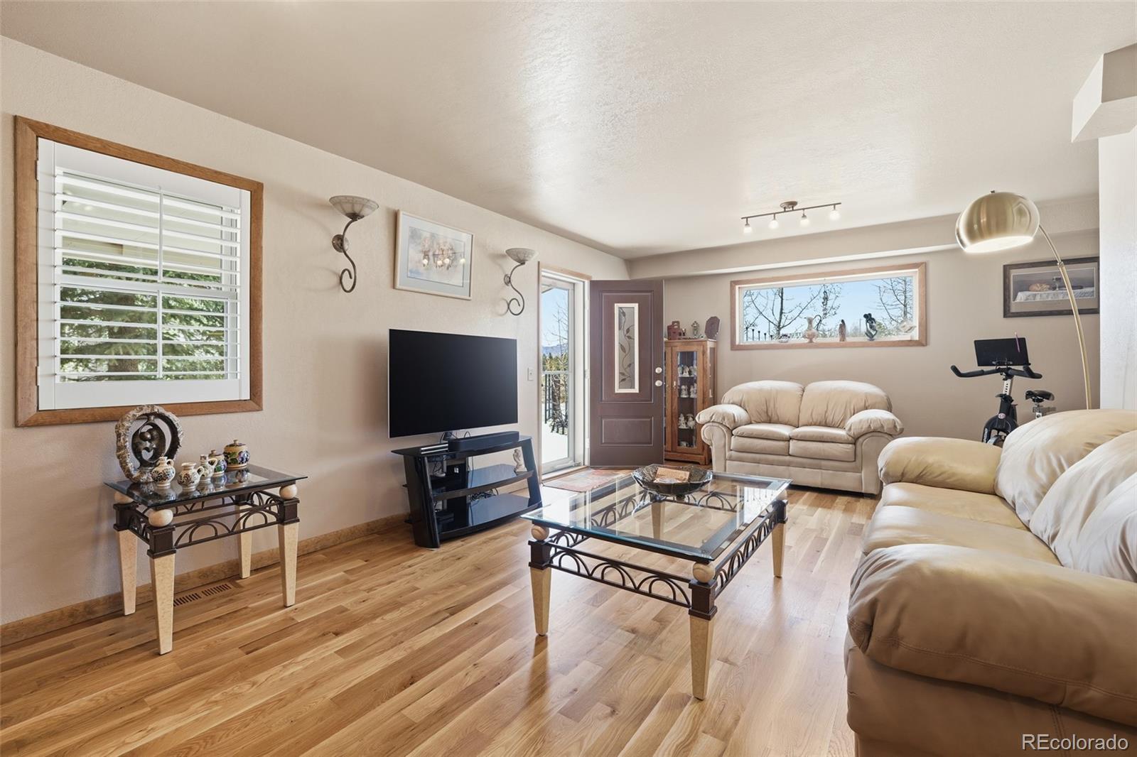 10 Marshal Duggan Drive Leadville CO 80461