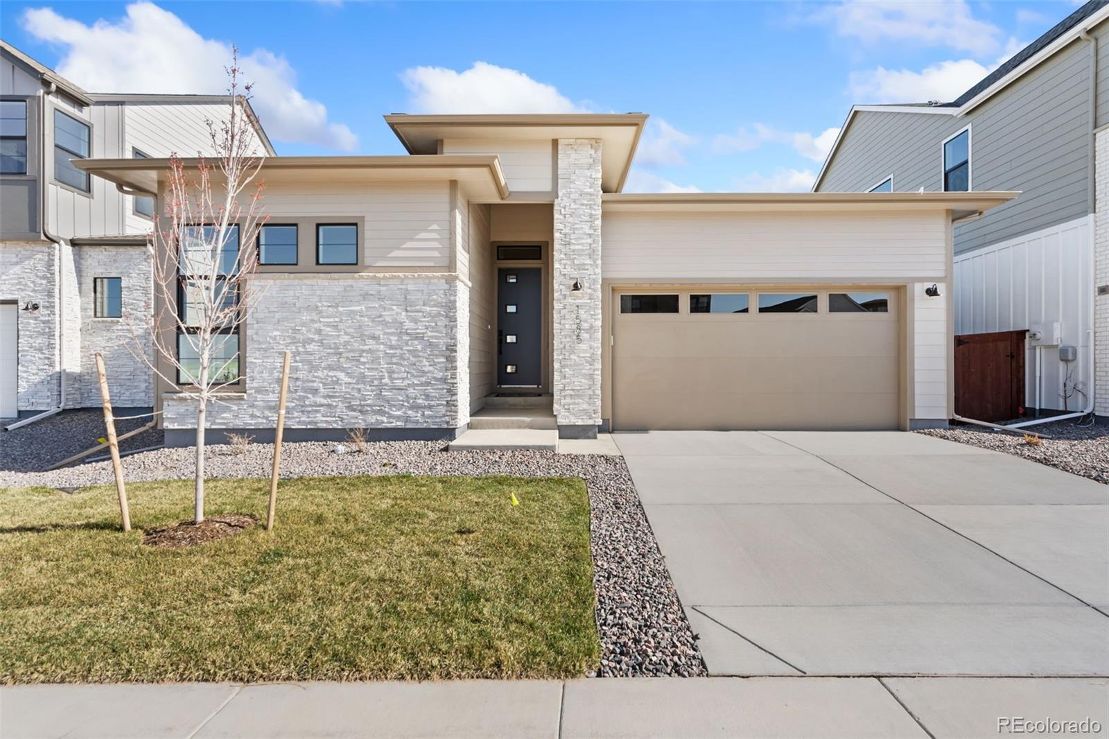 1585 Winter Glow Drive Windsor CO 80550