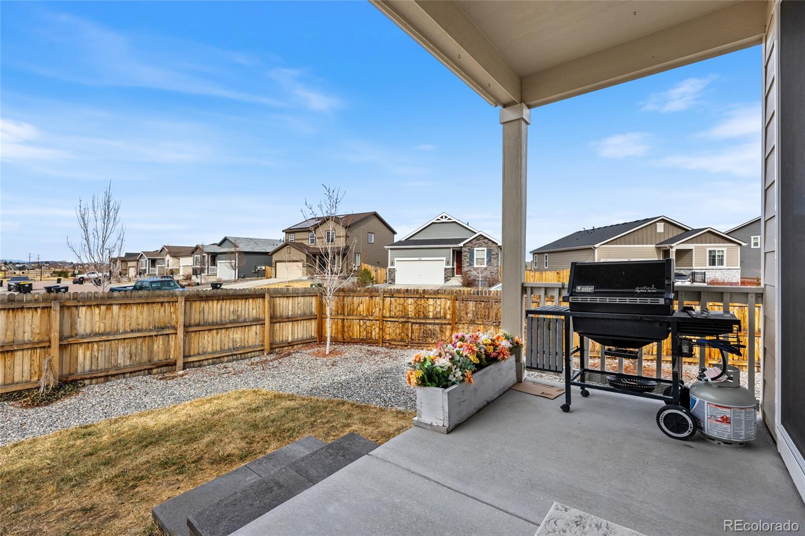 405 Vista Cliff Court Castle Rock CO 80104