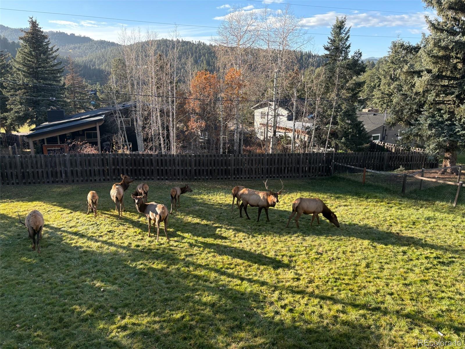 27906 Lupine Drive Evergreen CO 80439