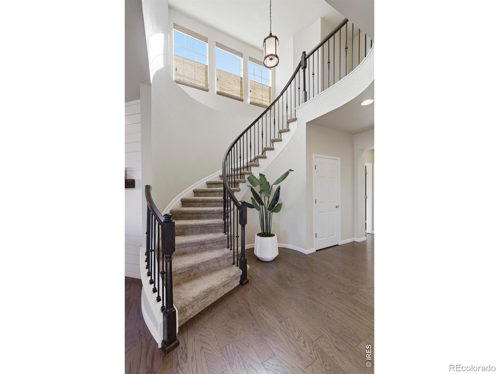 2356 Lodgepole Creek Drive Fort Collins CO 80528