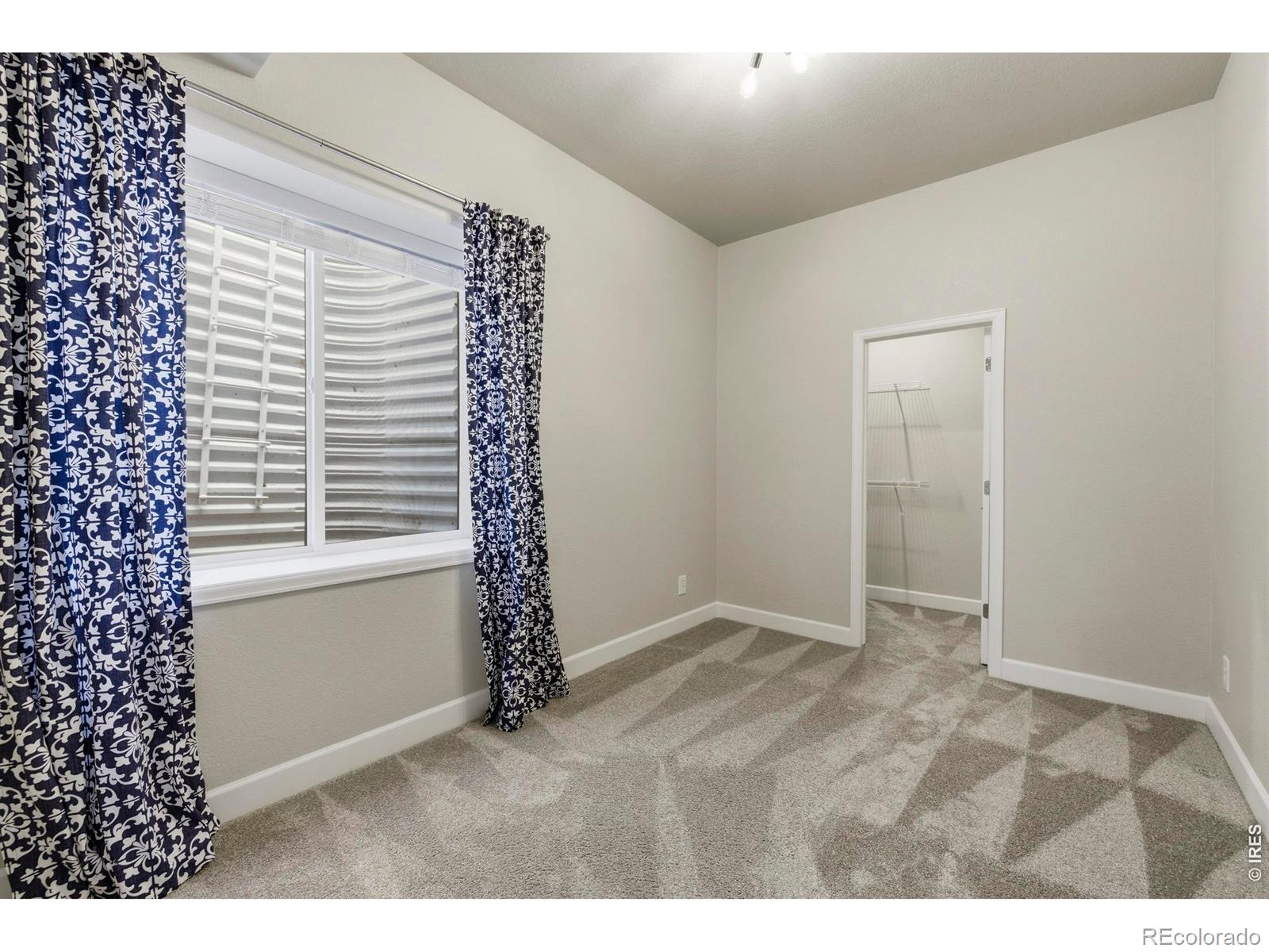 2356 Lodgepole Creek Drive Fort Collins CO 80528