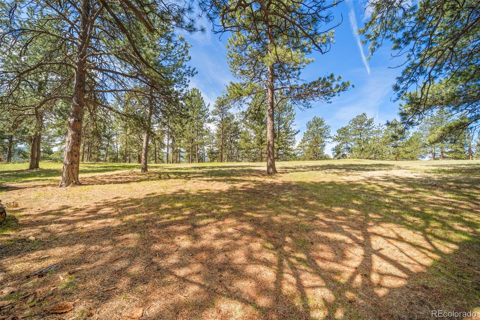 28480 Douglas Park Road Evergreen CO 80439