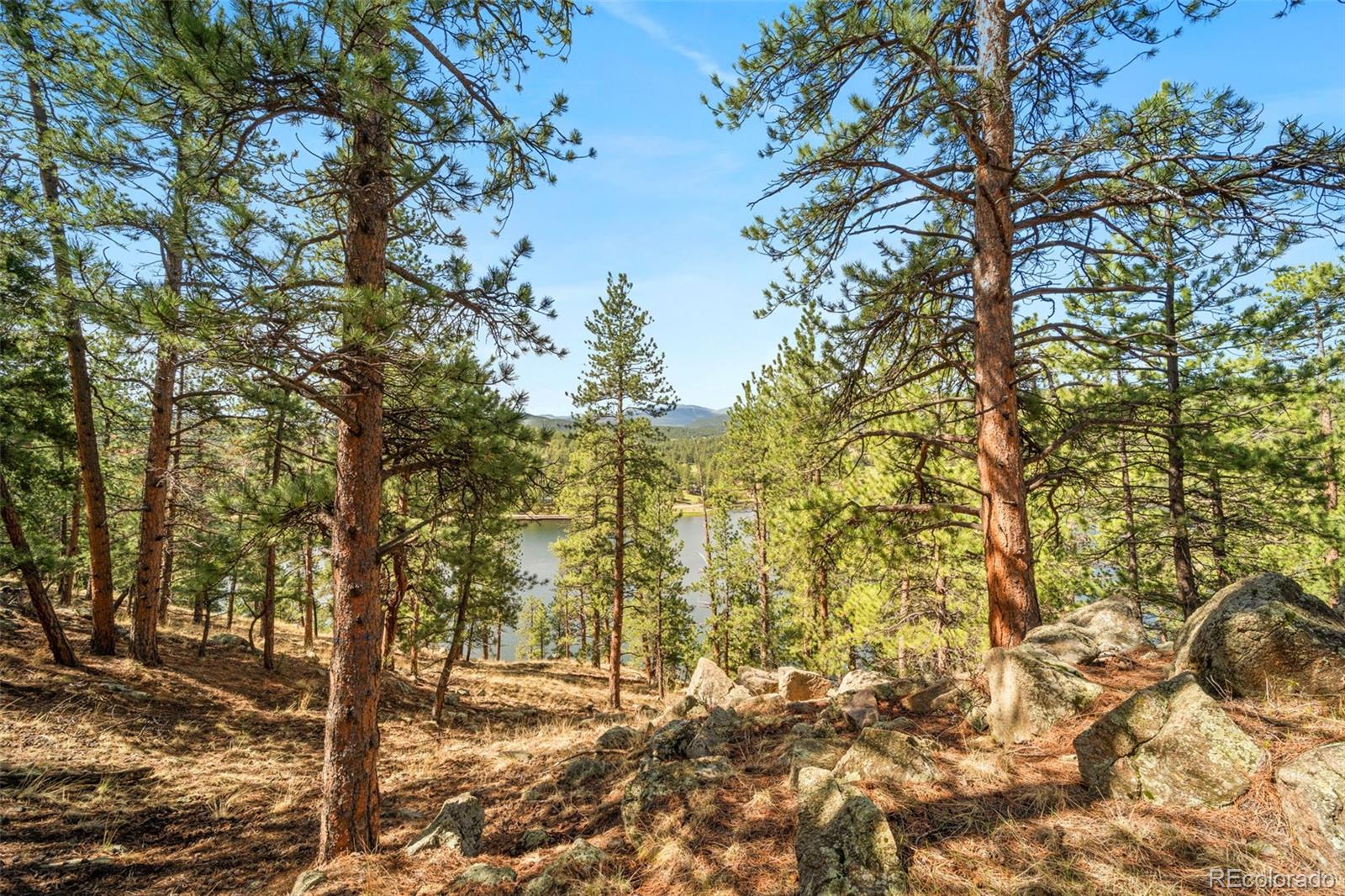 28480 Douglas Park Road Evergreen CO 80439