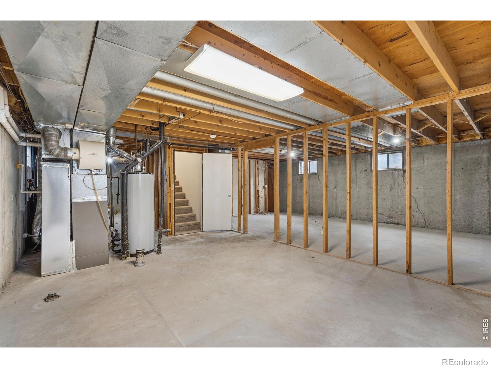 1244 Tupelo Drive Loveland CO 80538
