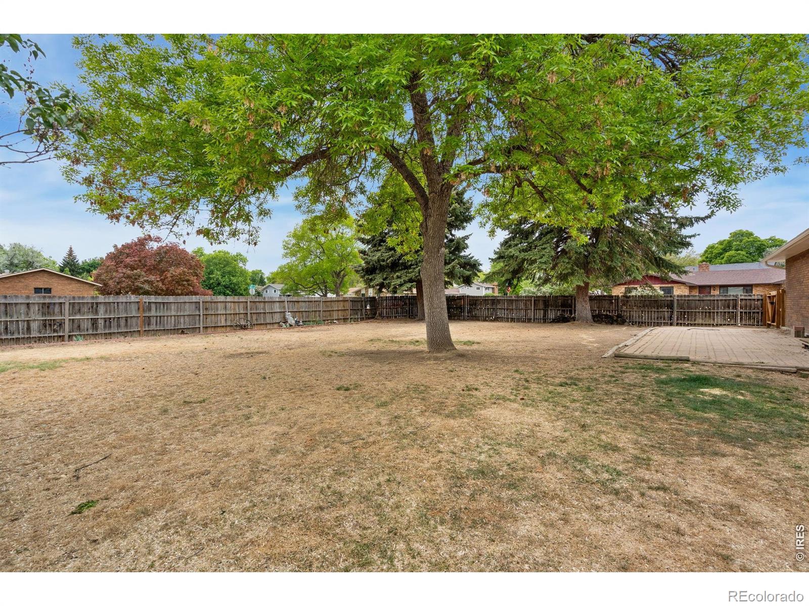 1244 Tupelo Drive Loveland CO 80538
