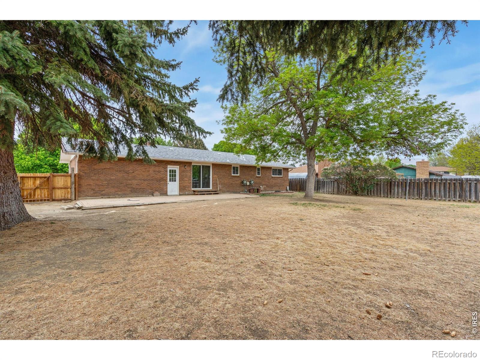 1244 Tupelo Drive Loveland CO 80538