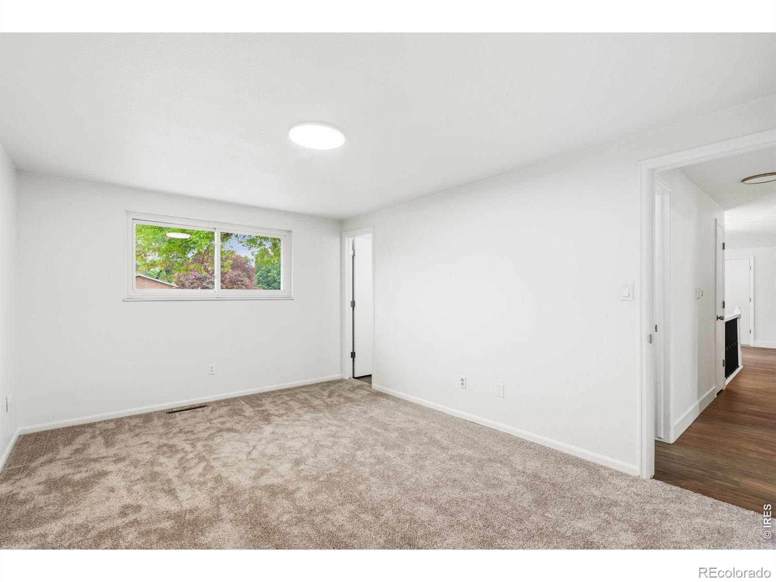 1244 Tupelo Drive Loveland CO 80538