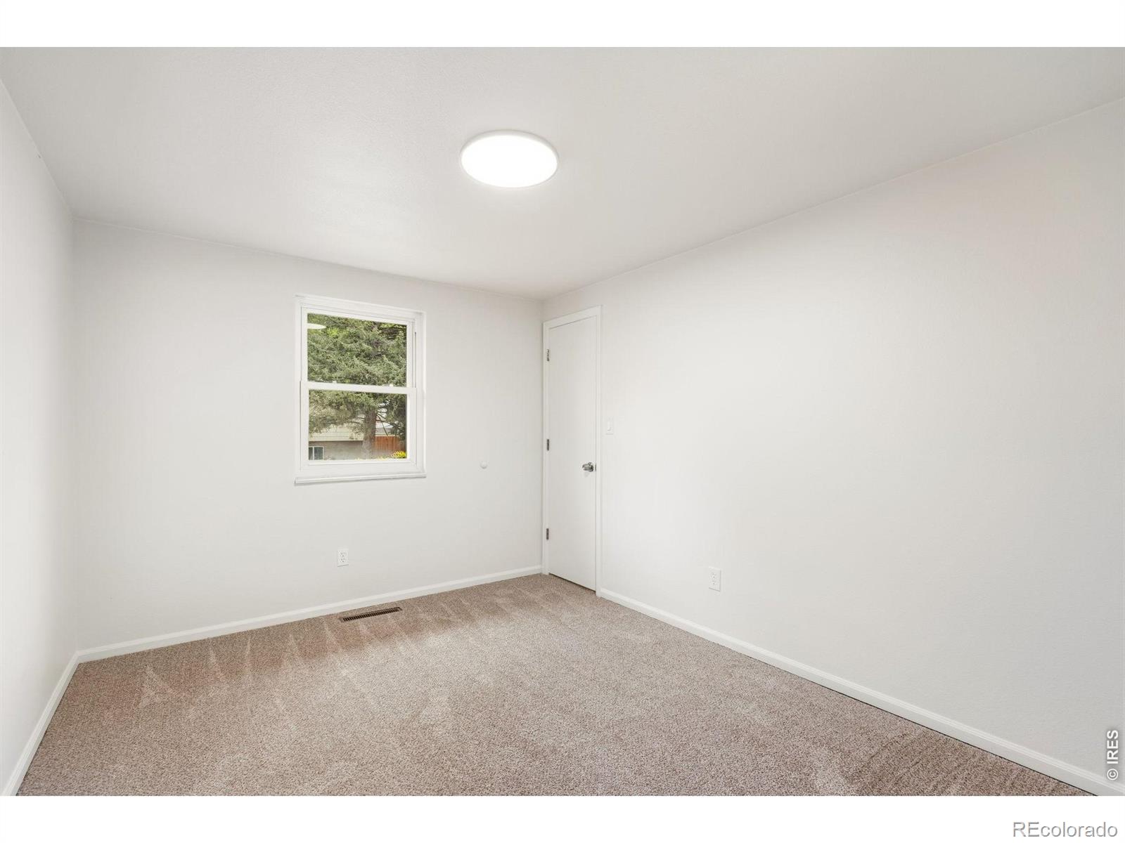 1244 Tupelo Drive Loveland CO 80538