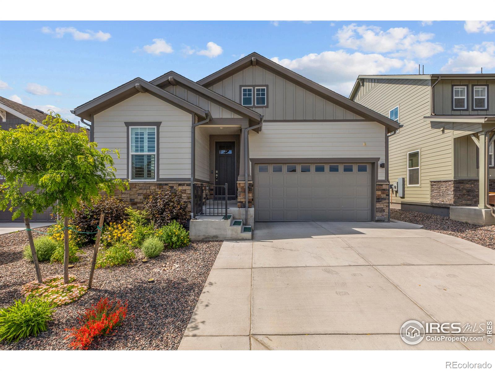4246 Martinson Drive Loveland CO 80537