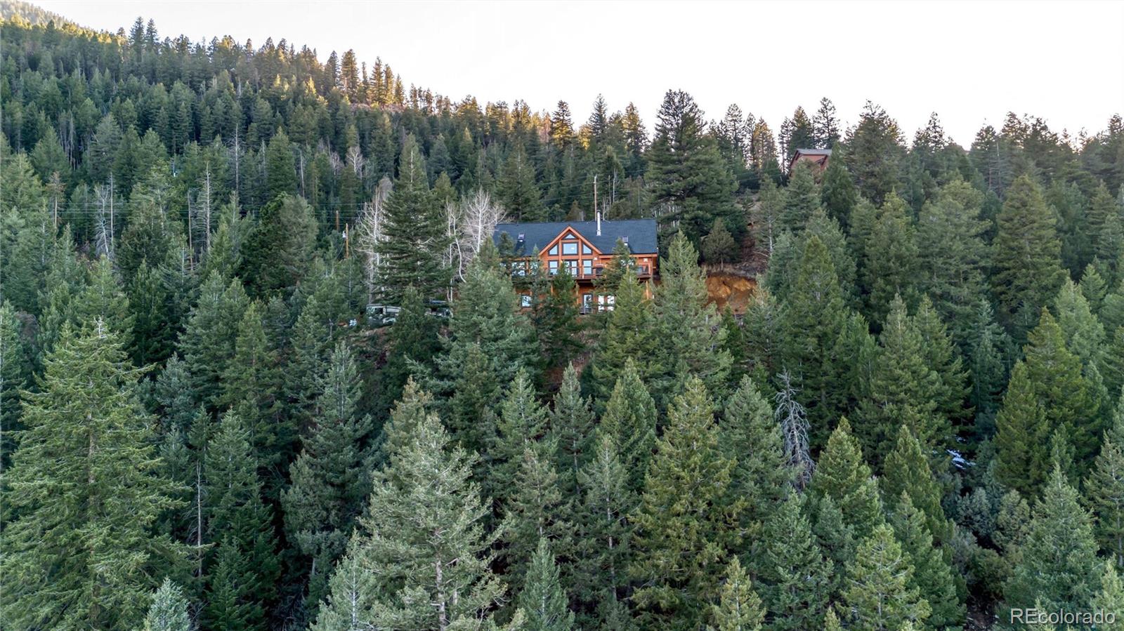 1055 Saddleback Drive Evergreen CO 80439