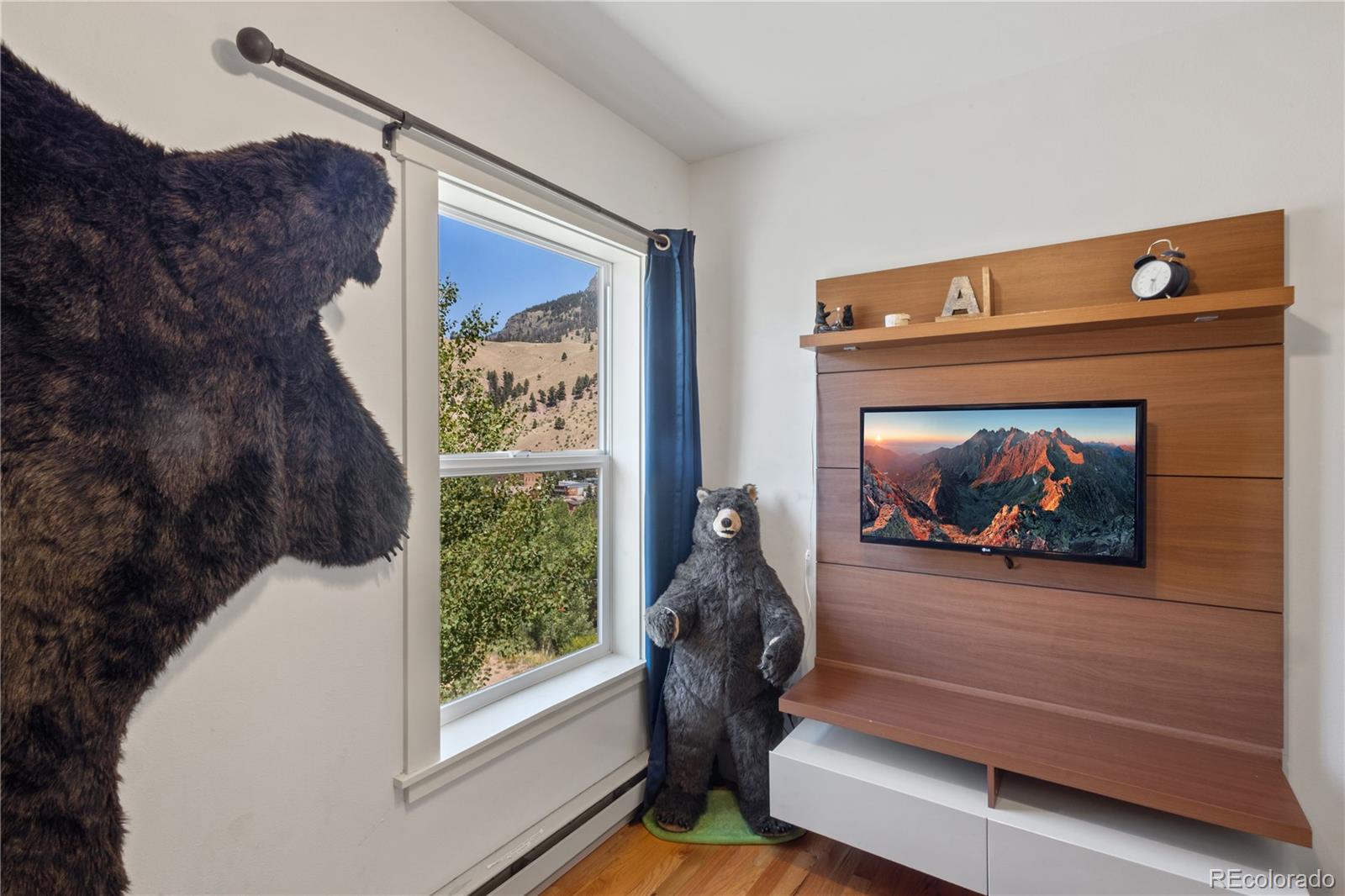 301 W 3rd Street Creede CO 81130