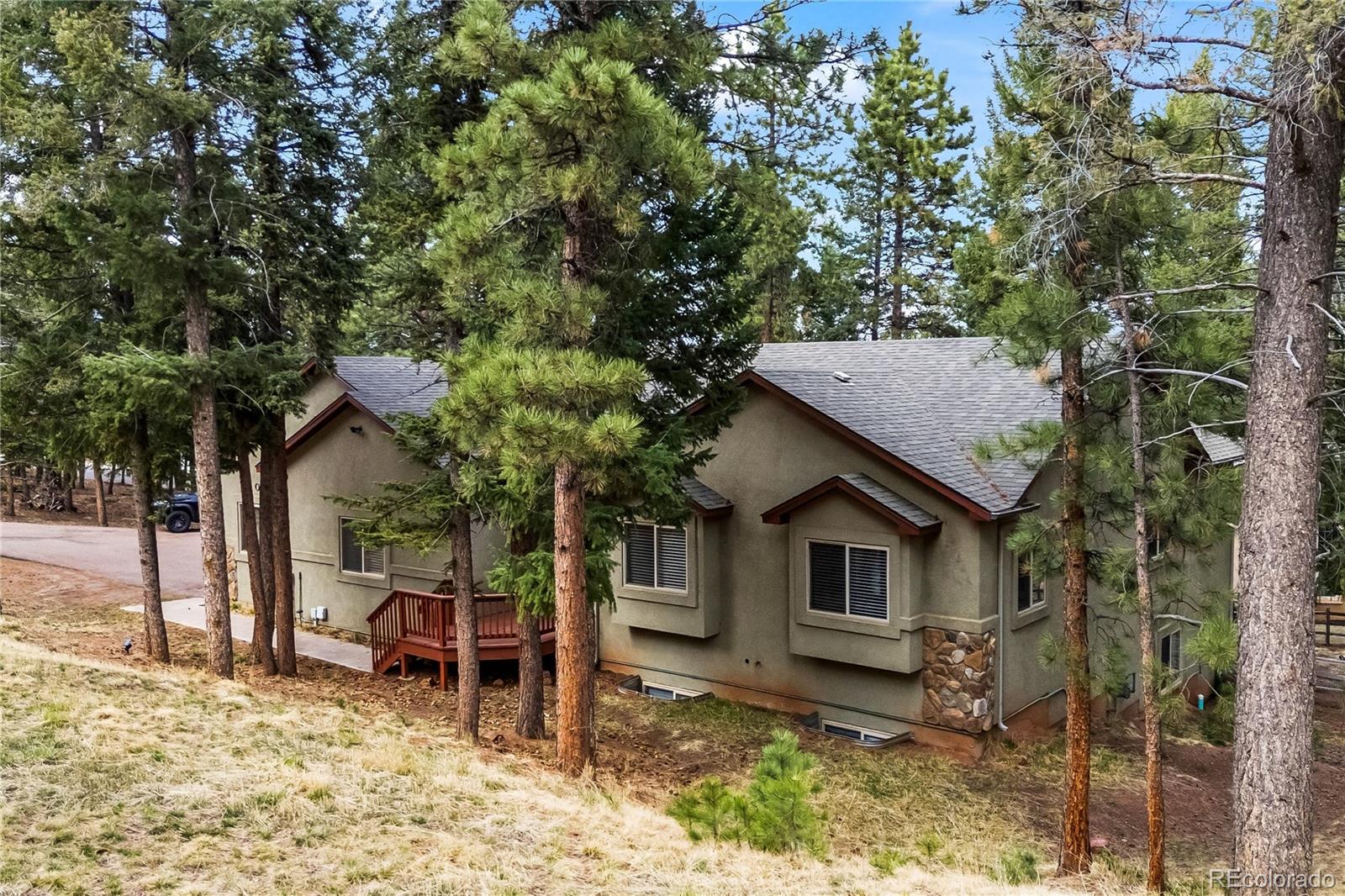 1308 Spruce Ridge Lane Woodland Park CO 80863