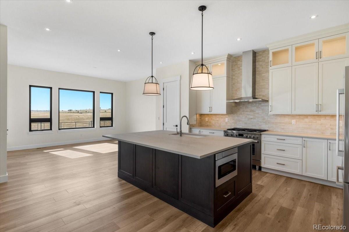 44481 N Wrangle Court Parker CO 80138