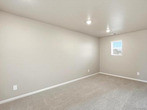 1218 Spring Creek Drive Windsor CO 80550