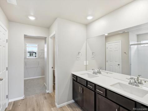 1218 Spring Creek Drive Windsor CO 80550