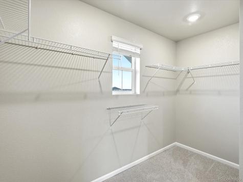 1218 Spring Creek Drive Windsor CO 80550