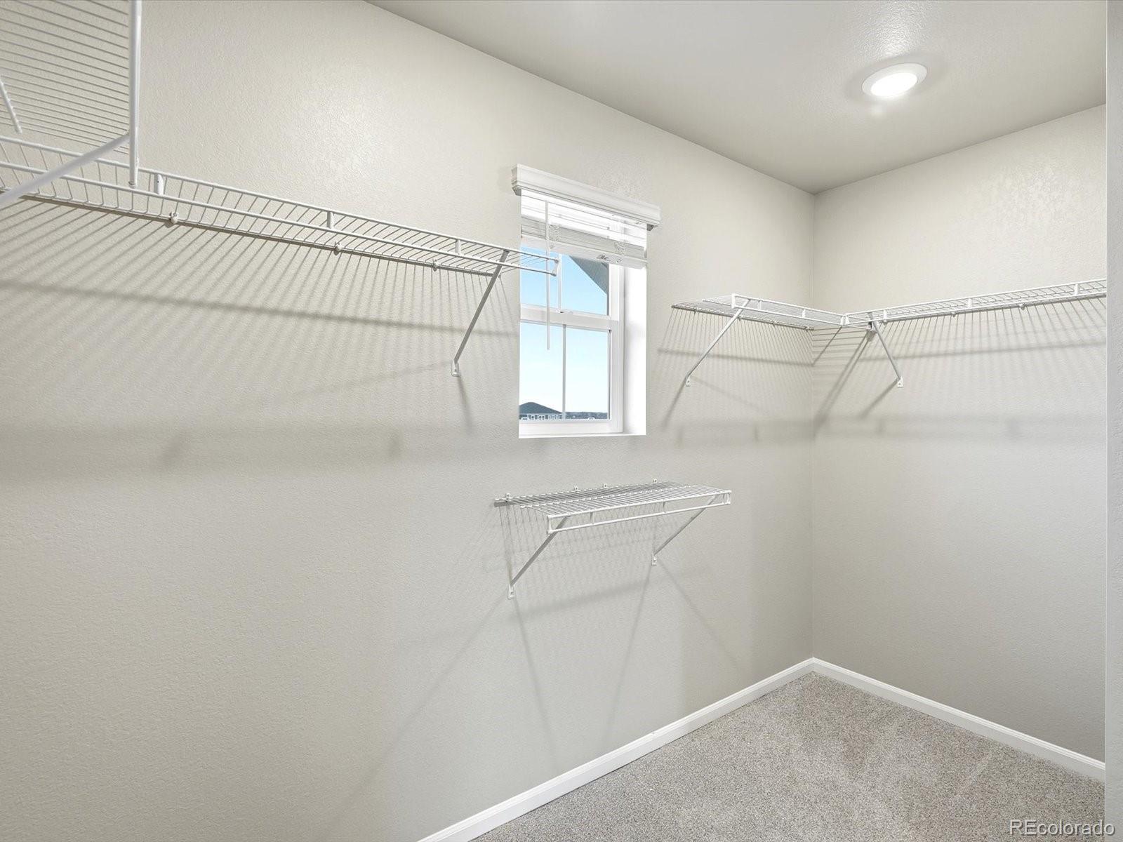 1218 Spring Creek Drive Windsor CO 80550