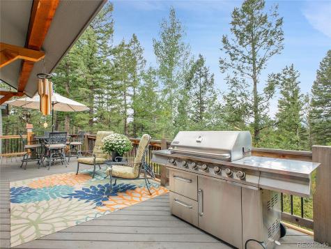 30824 Kings Valley Drive Conifer CO 80433