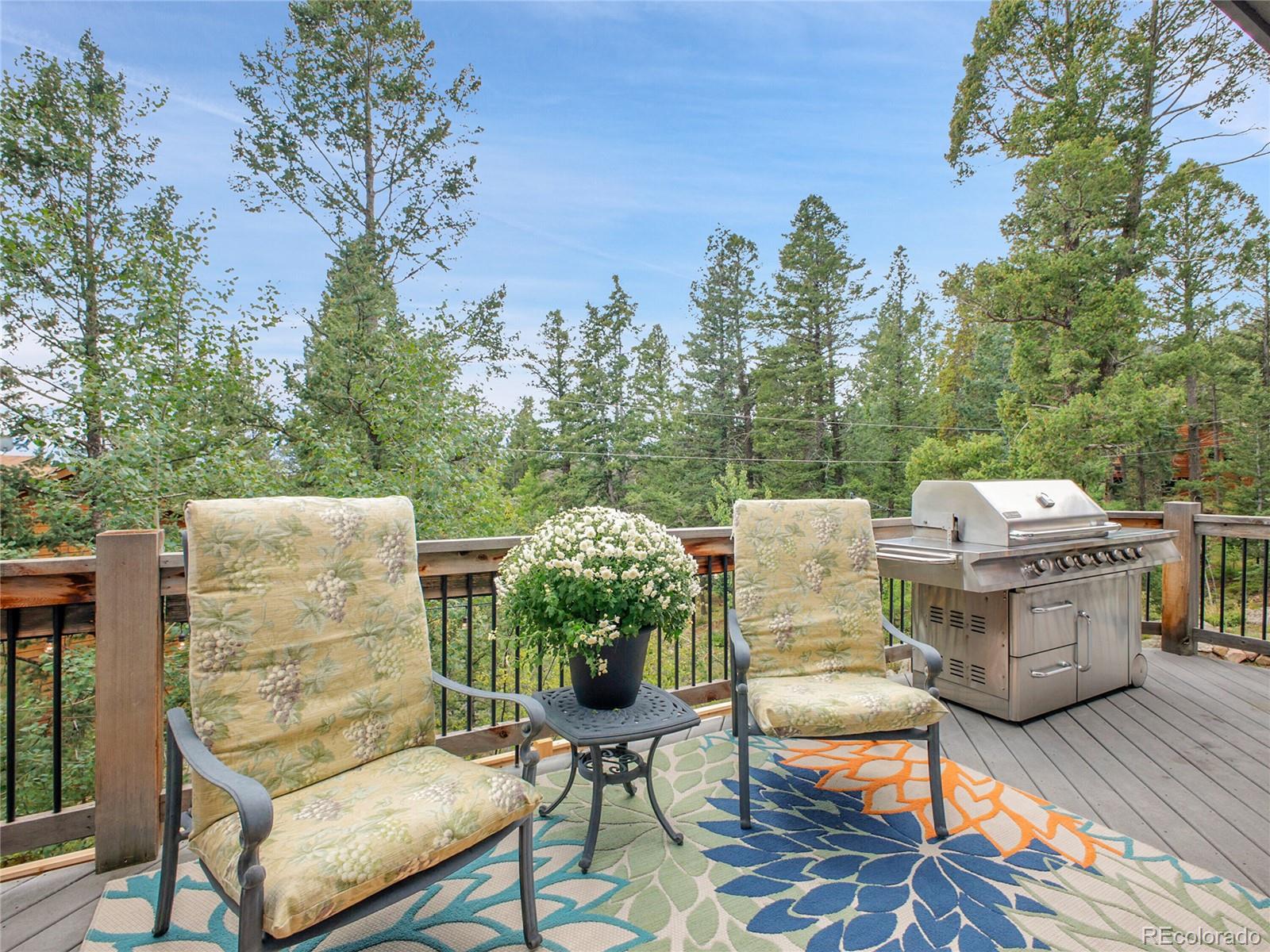 30824 Kings Valley Drive Conifer CO 80433