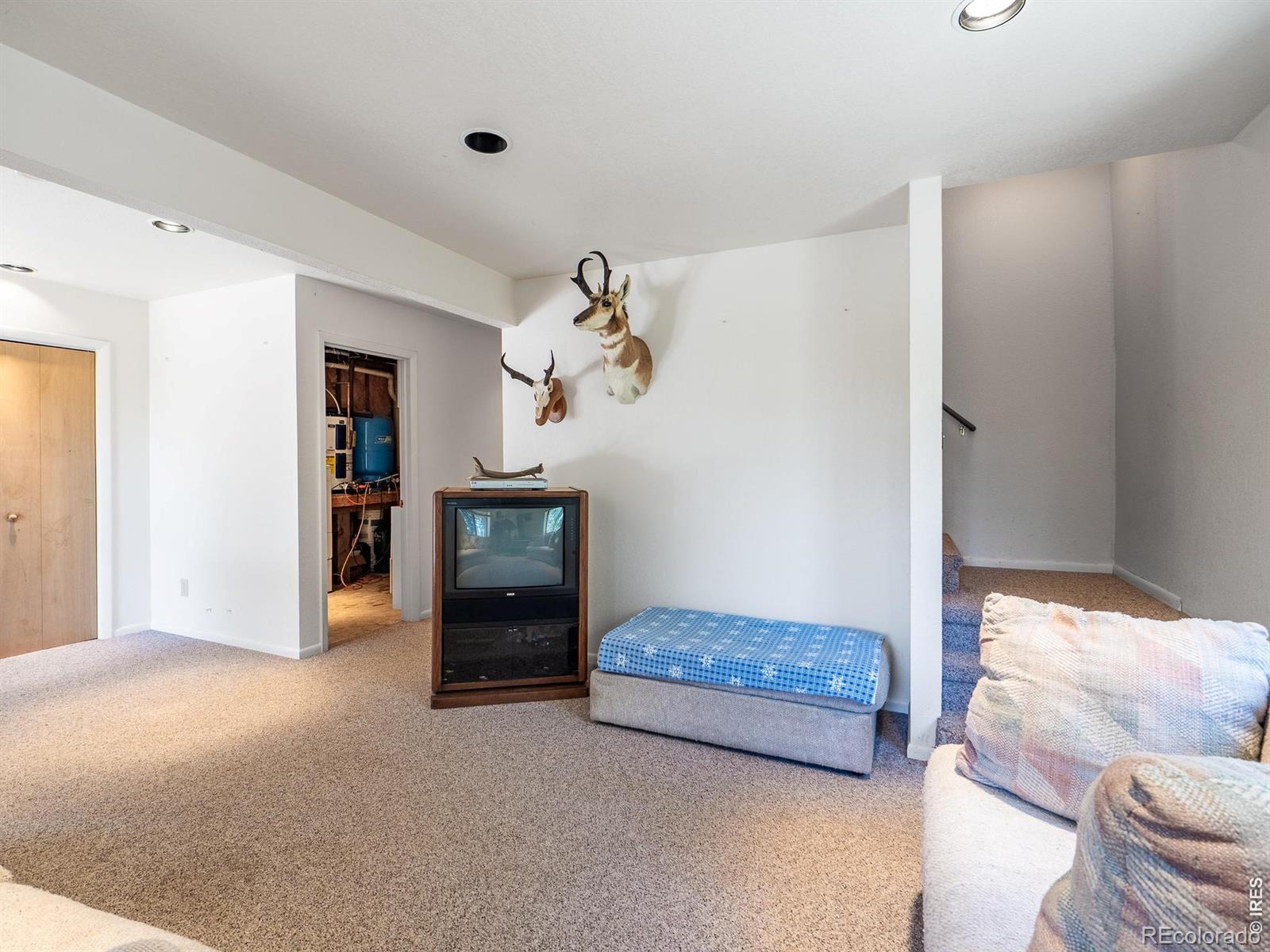 1732 Jicarilla Trail Red Feather Lakes CO 80545