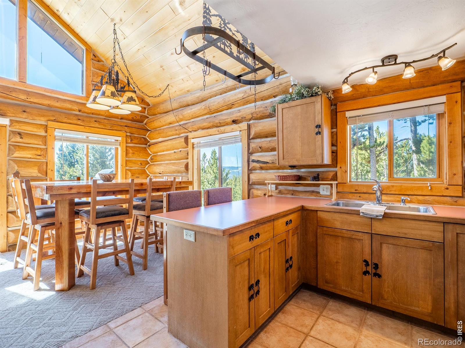 1732 Jicarilla Trail Red Feather Lakes CO 80545