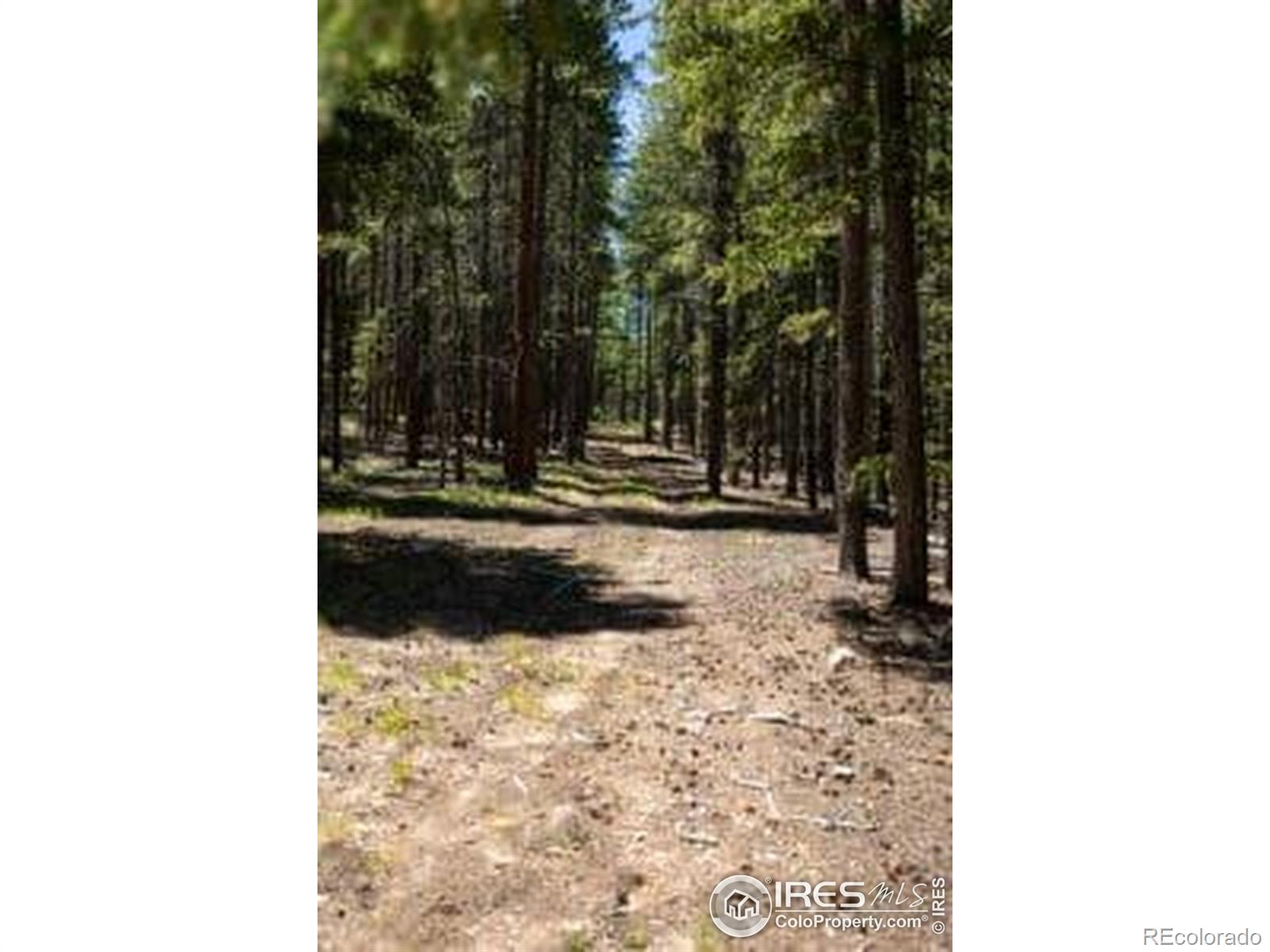 1001 Pactolus Lake Road Black Hawk CO 80422