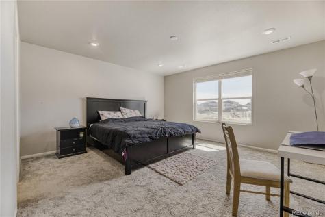 3686 Sandy Vista Lane Castle Rock CO 80104