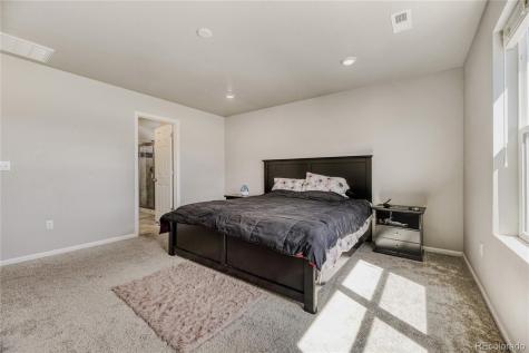 3686 Sandy Vista Lane Castle Rock CO 80104
