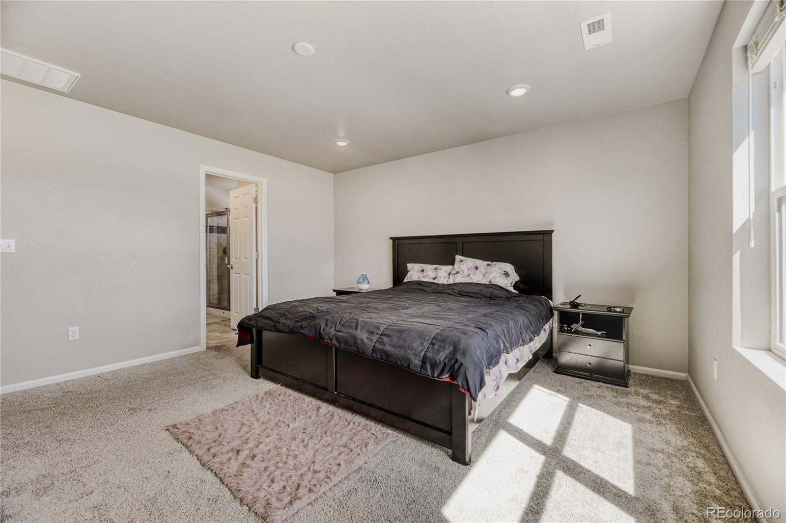 3686 Sandy Vista Lane Castle Rock CO 80104