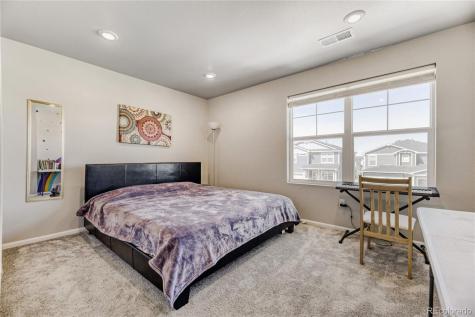 3686 Sandy Vista Lane Castle Rock CO 80104