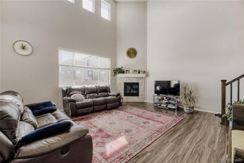 3686 Sandy Vista Lane Castle Rock CO 80104