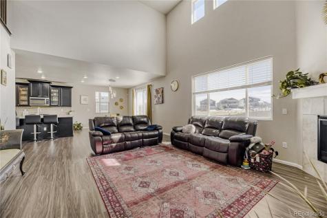3686 Sandy Vista Lane Castle Rock CO 80104