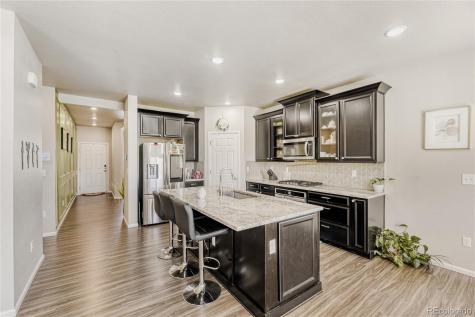 3686 Sandy Vista Lane Castle Rock CO 80104