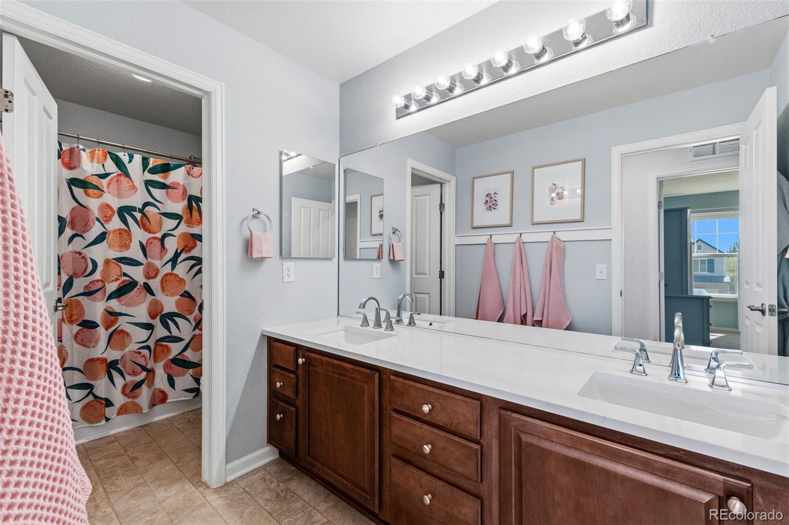23245 Barnsley Lane Parker CO 80138