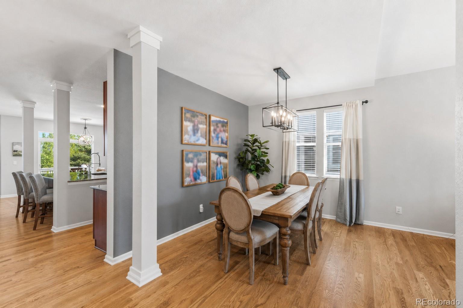 23245 Barnsley Lane Parker CO 80138