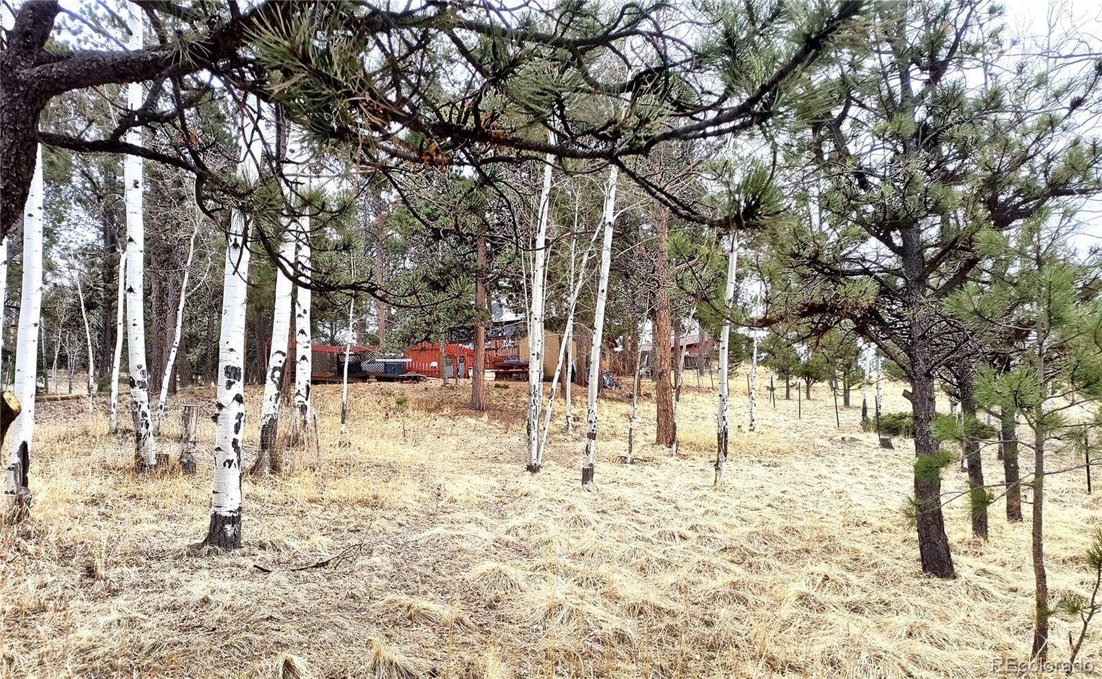 103 Adair Circle Florissant CO 80816