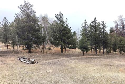 103 Adair Circle Florissant CO 80816