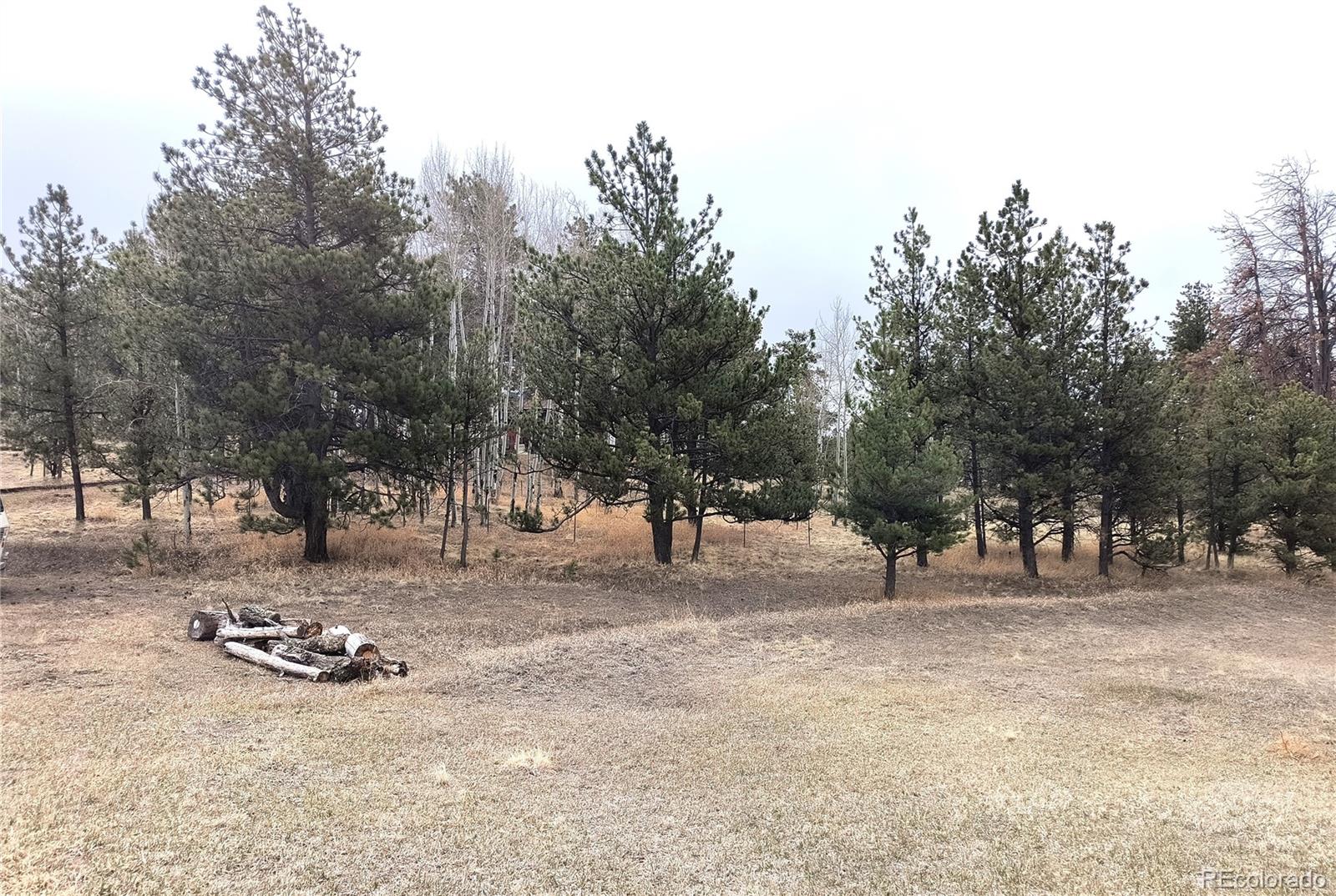 103 Adair Circle Florissant CO 80816