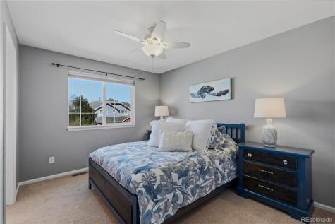 7298 Almandine Court Castle Rock CO 80108