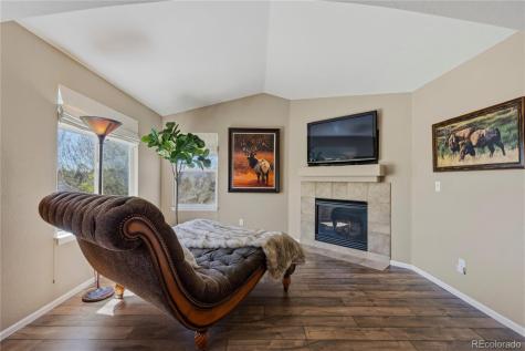 7298 Almandine Court Castle Rock CO 80108
