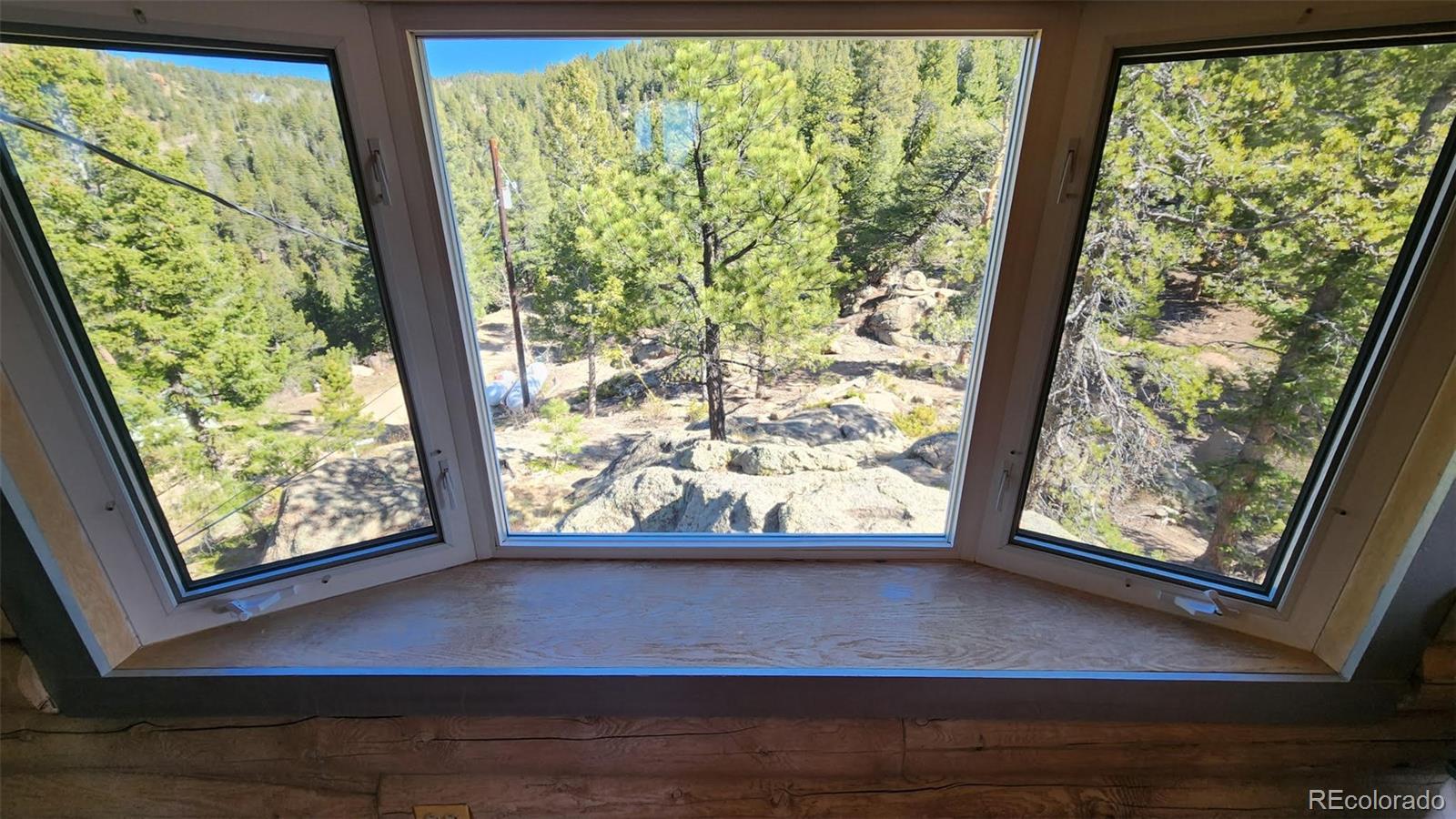 30851 Pike View Drive Conifer CO 80433