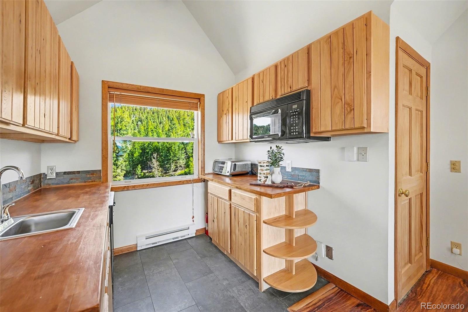 30851 Pike View Drive Conifer CO 80433
