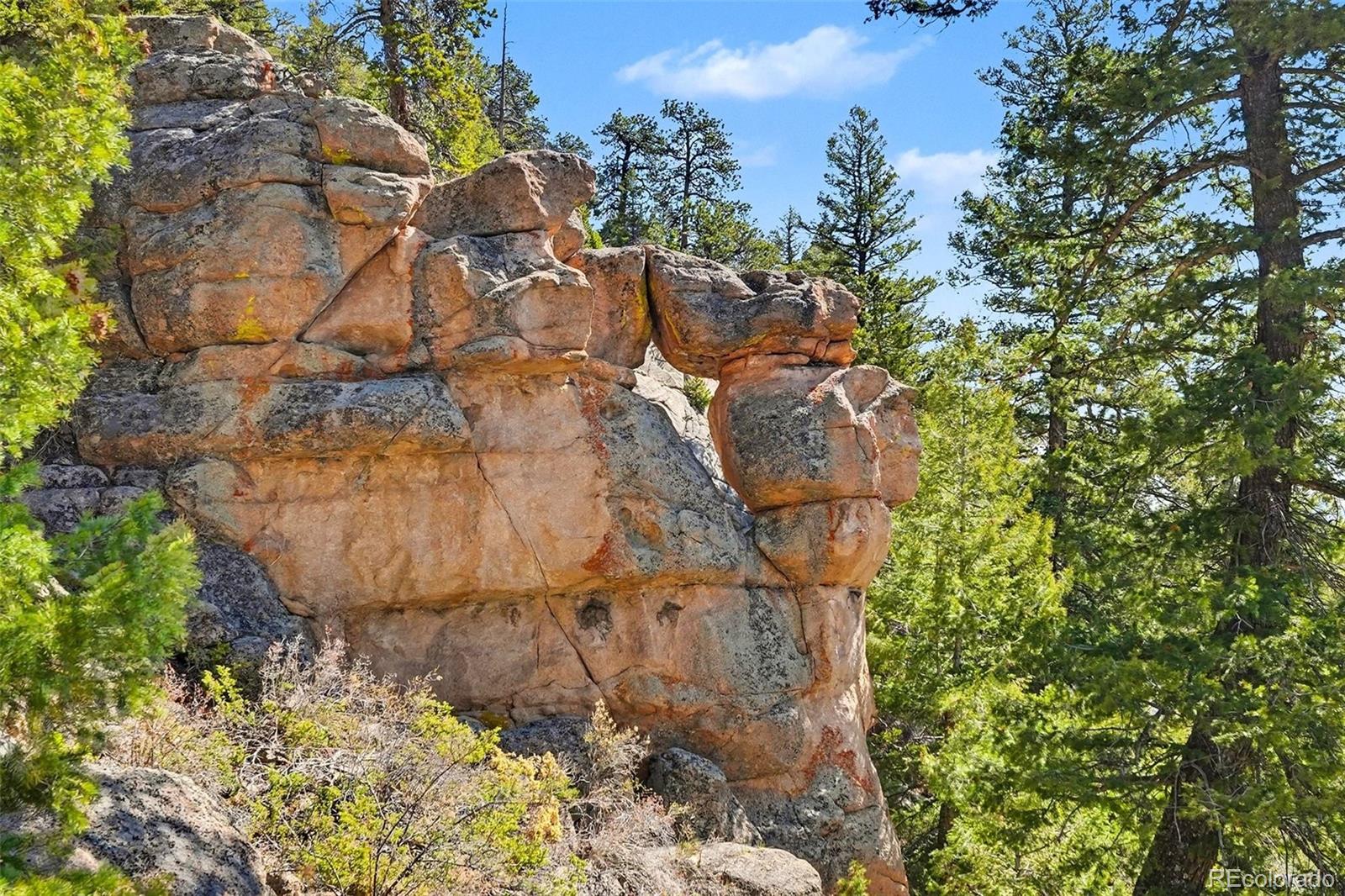30851 Pike View Drive Conifer CO 80433