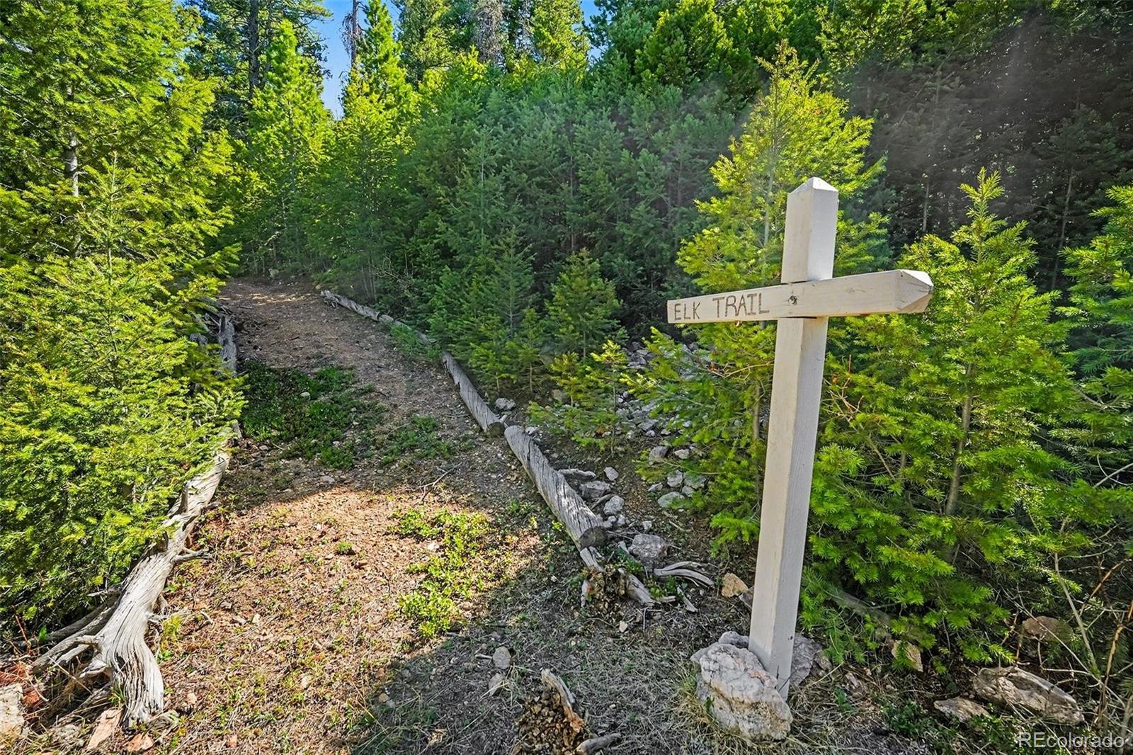 30851 Pike View Drive Conifer CO 80433