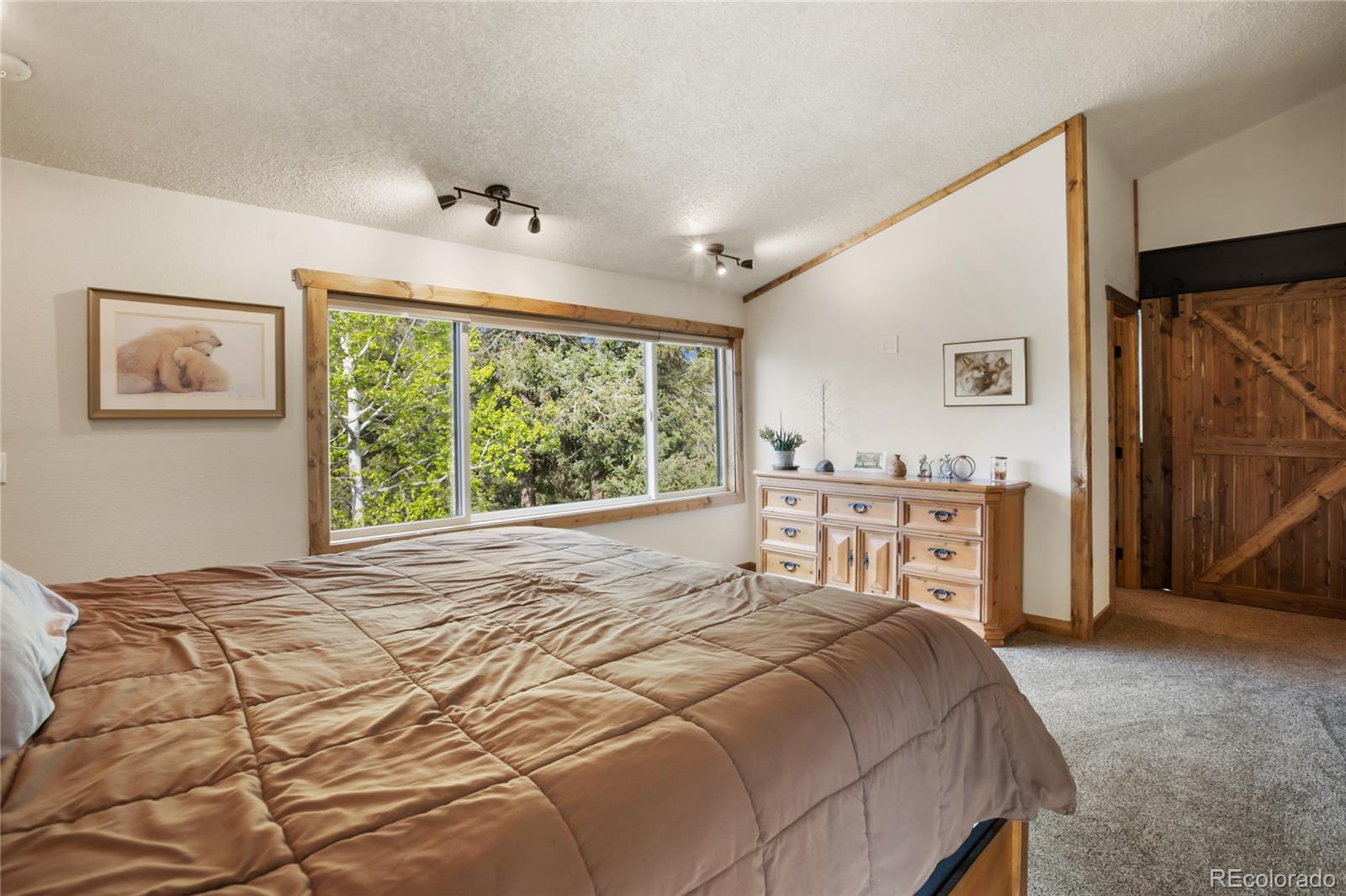 45 Barr Lake Circle Divide CO 80814