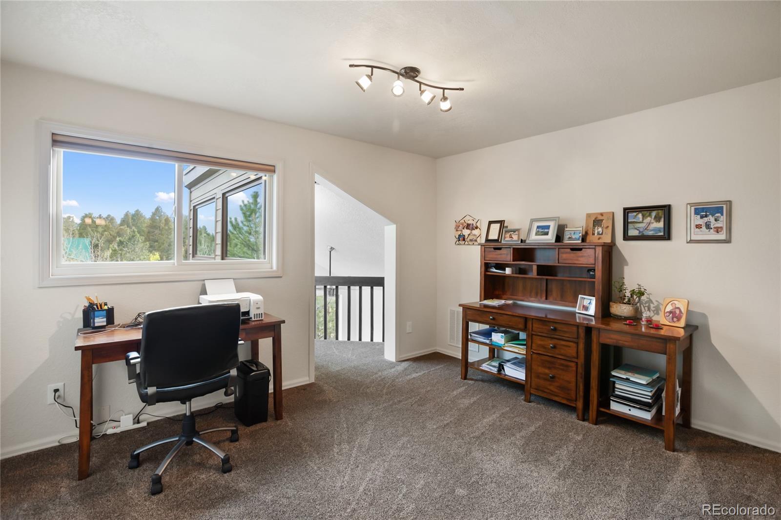 45 Barr Lake Circle Divide CO 80814