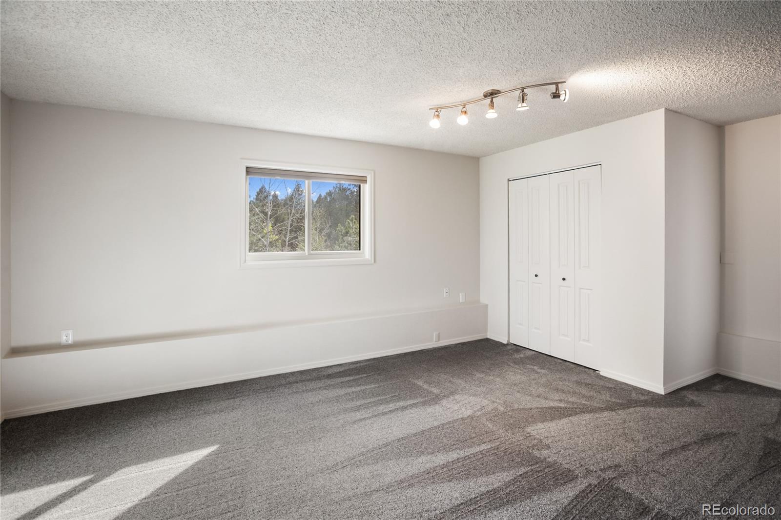 45 Barr Lake Circle Divide CO 80814