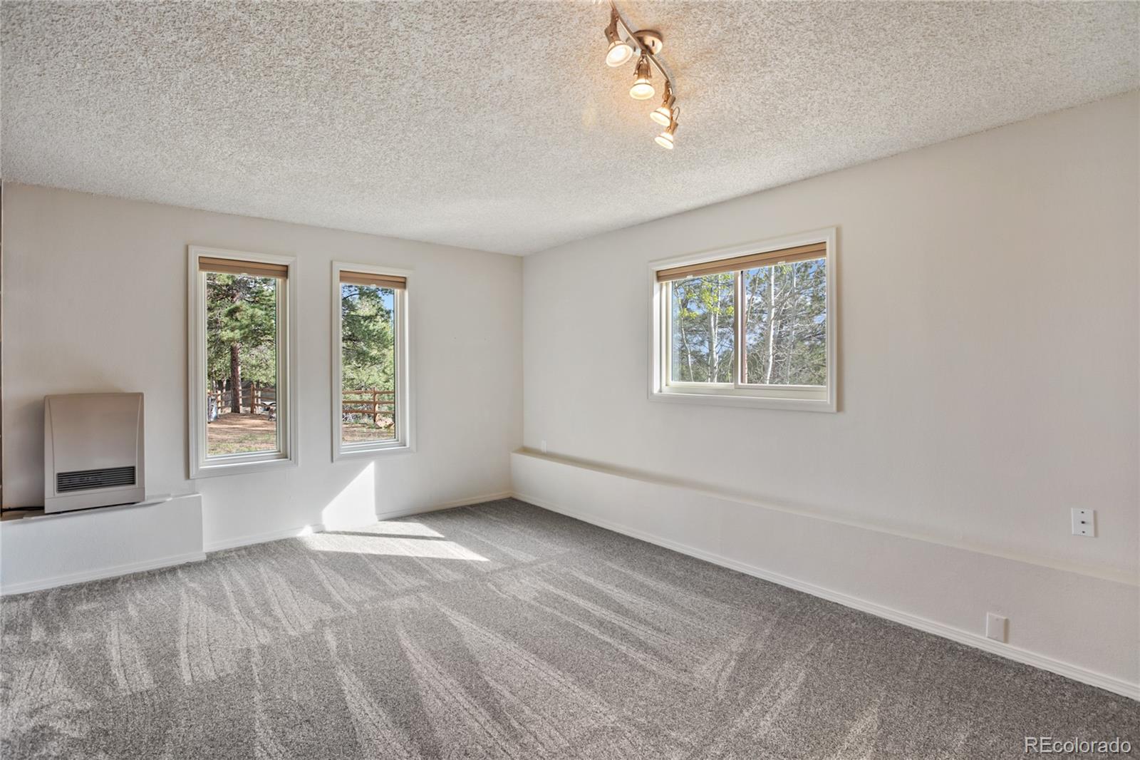 45 Barr Lake Circle Divide CO 80814