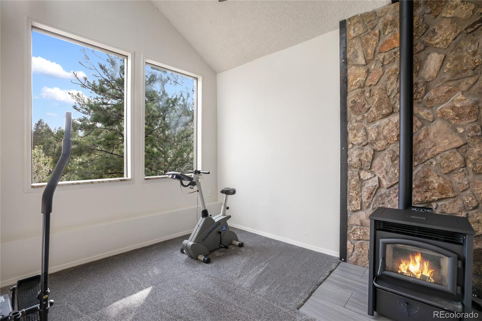 45 Barr Lake Circle Divide CO 80814